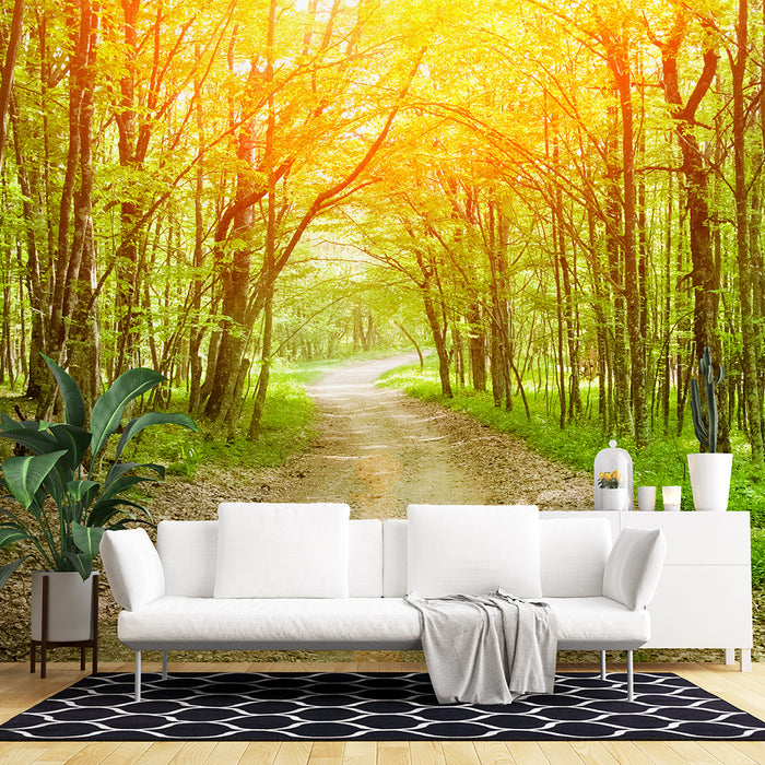 Sunlit Forest Path Wallpaper Mural | Woodland Escape with Light Penetration | Tranquil Green Décor