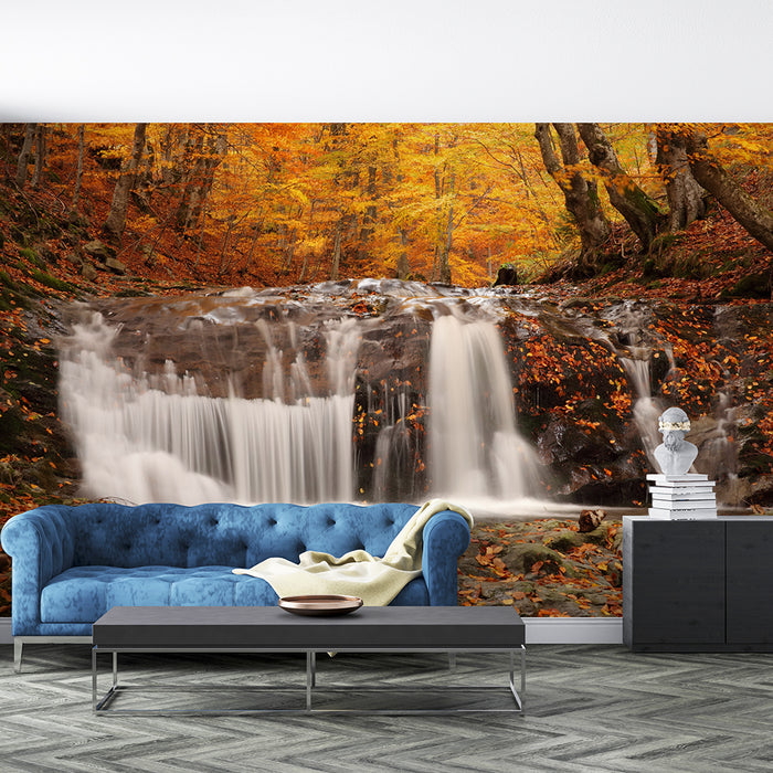 Autumn Forest Waterfall Wallpaper Mural | Natural Scenery