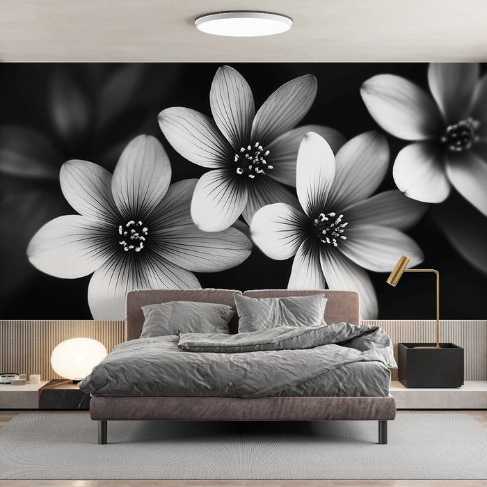 Black and white floral wallpaper mural | Flowers presented in black and white - Carving wallpaper