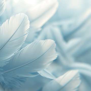 Soft blue feathers close-up from the Serene Blue Feather Wall Mural, ideal for creating a tranquil space.