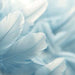 Soft blue feathers close-up from the Serene Blue Feather Wall Mural, ideal for creating a tranquil space.