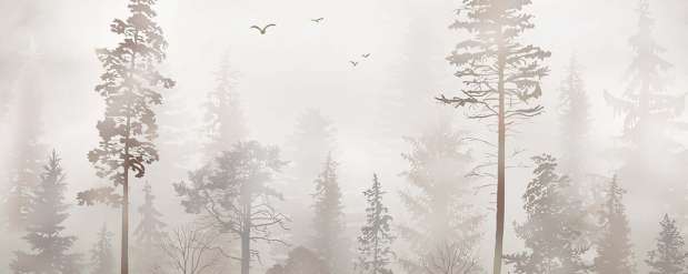 Misty Forest Wallpaper Mural | Serene Pine Landscape | Nordic Minimalist Nature Decor