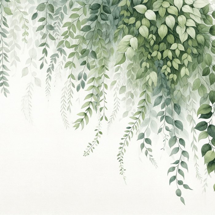 Watercolor Vine Wallpaper Mural | Fresh Green Plant Decor | Botanical Bedroom & Study Room Wall