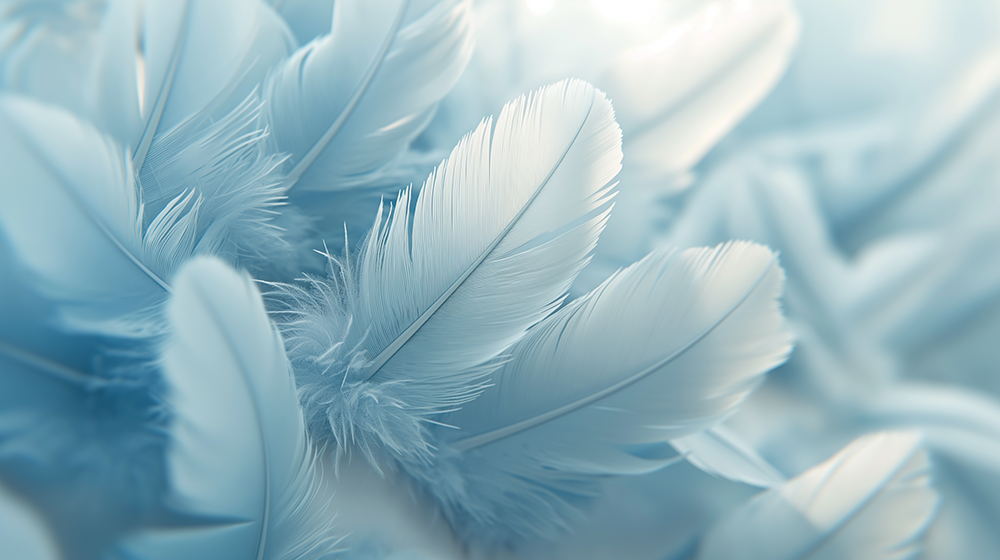 Serene Blue Feather Wall Mural - Healing Décor for Bedroom & Study | Elegant Soft Focus Design