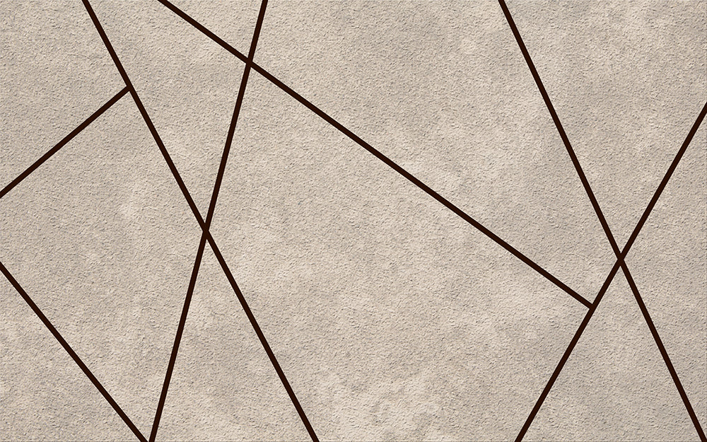 Geometric line wallpaper mural | Living room bedroom minimalist wabi sabi style decorative wall