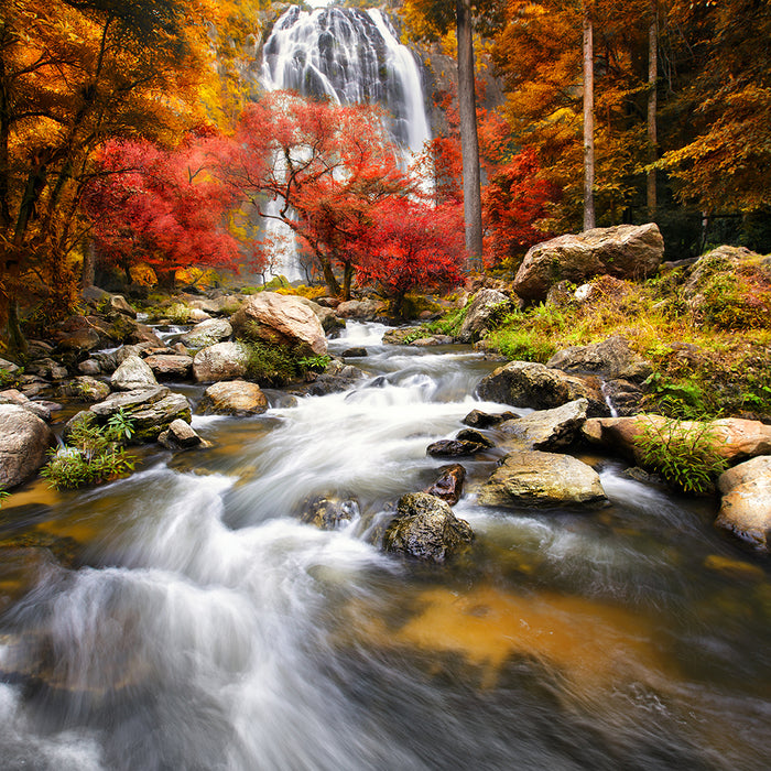 Autumn Forest Waterfall Wallpaper | Red Leaf Landscape Mural