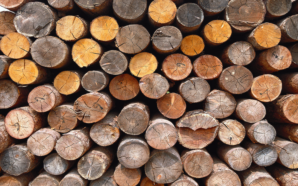 Wooden stacked wallpaper mural | Retro decorative wall in living room and study