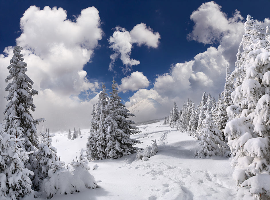 Snowy Mountain Forest Wallpaper Mural | Ice and Snow Theme Wall Decoration