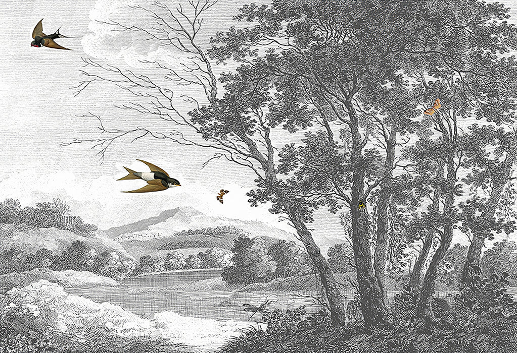 Vintage Landscape Illustration Wallpaper Mural | Rivers, Mountains, Forests, Swallows