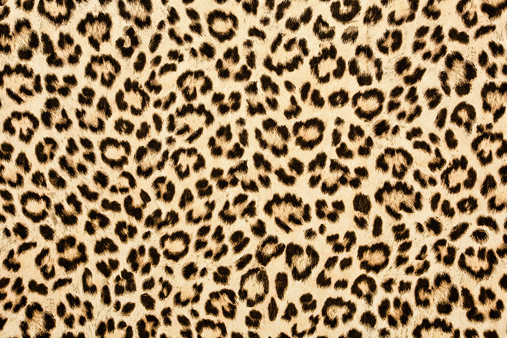 Leopard Wallpaper | Living Room and Bedroom Decorative Wall