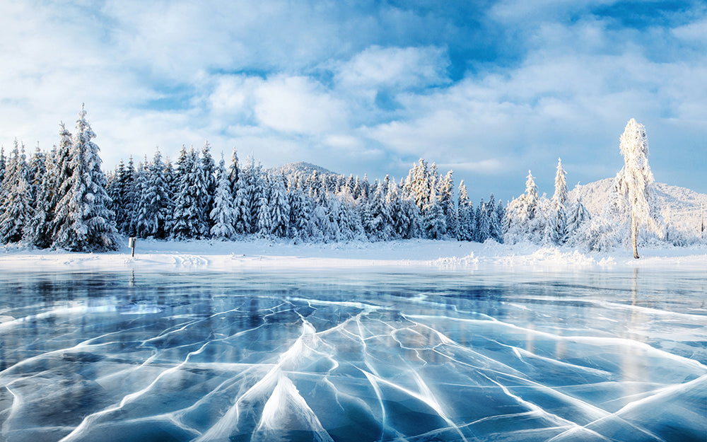 Nordic Frost Forest Wallpaper Mural | Frozen Lake & Snowy Cedar Landscape | Cool Blue Serenity Décor