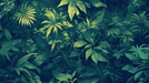 Deep green tropical plant wallpaper | Forest style decorative wall in living room and bedroom