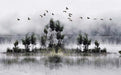 Ink Wash Landscape Wallpaper Mural | Flying Birds & Reflections | Tranquil Eastern Ambiance