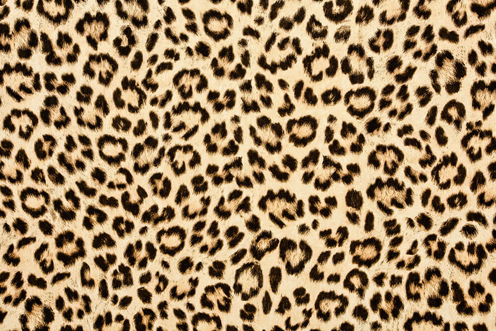 Leopard Wallpaper | Living Room and Bedroom Decorative Wall