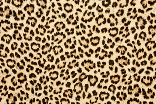 Leopard Wallpaper | Living Room and Bedroom Decorative Wall