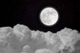 Moonnight Cloud Sea Wallpaper Mural | Dreamy Starry Sky Decorative Wall with full moon over clouds in a serene night sky