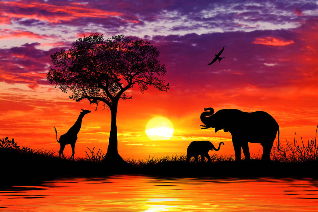 African Grassland Wallpaper Mural | Animal Silhouettes+Sunset Gradient