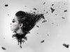 Artistic Portrait Feather Wallpaper Mural | Black and White Tone - Sleek monochrome portrait with feathers and birds creating an artful, mysterious gallery vibe