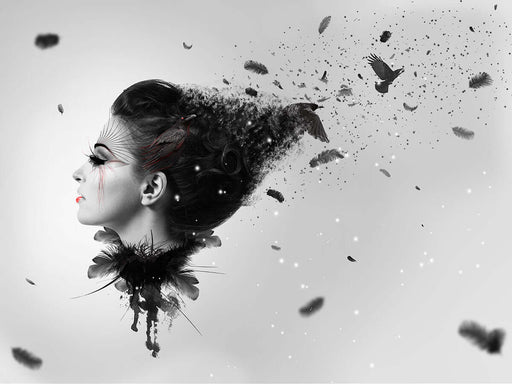 Artistic Portrait Feather Wallpaper Mural | Black and White Tone - Sleek monochrome portrait with feathers and birds creating an artful, mysterious gallery vibe