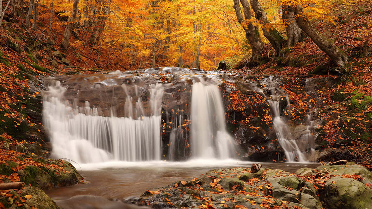 Autumn Forest Waterfall Wallpaper Mural | Natural Scenery