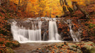 Autumn Forest Waterfall Wallpaper Mural | Natural Scenery