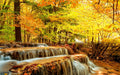 Autumn Leaf Stream landscape wallpaper mural | Autumn forest waterfall golden leaves and water - Carving wallpaper