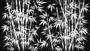 Bamboo forest wallpaper mural | Black background with white bamboo - Carving wallpaper