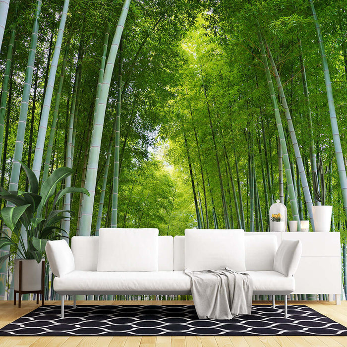 Bamboo Forest Landscape Wallpaper | Natural Landscape Decorative Mural Painting