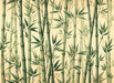 Bamboo Wallpaper Mural | Emerald Bamboo Stems - Carving wallpaper