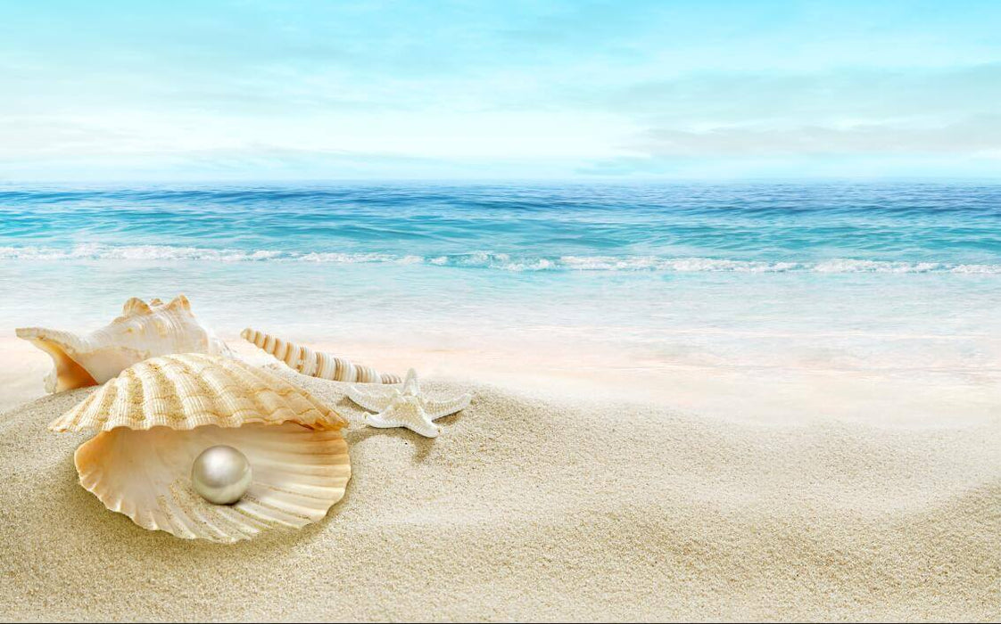 Beach Shell Pearl Wallpaper Mural – Coastal Escape for Bedroom & Living Room
