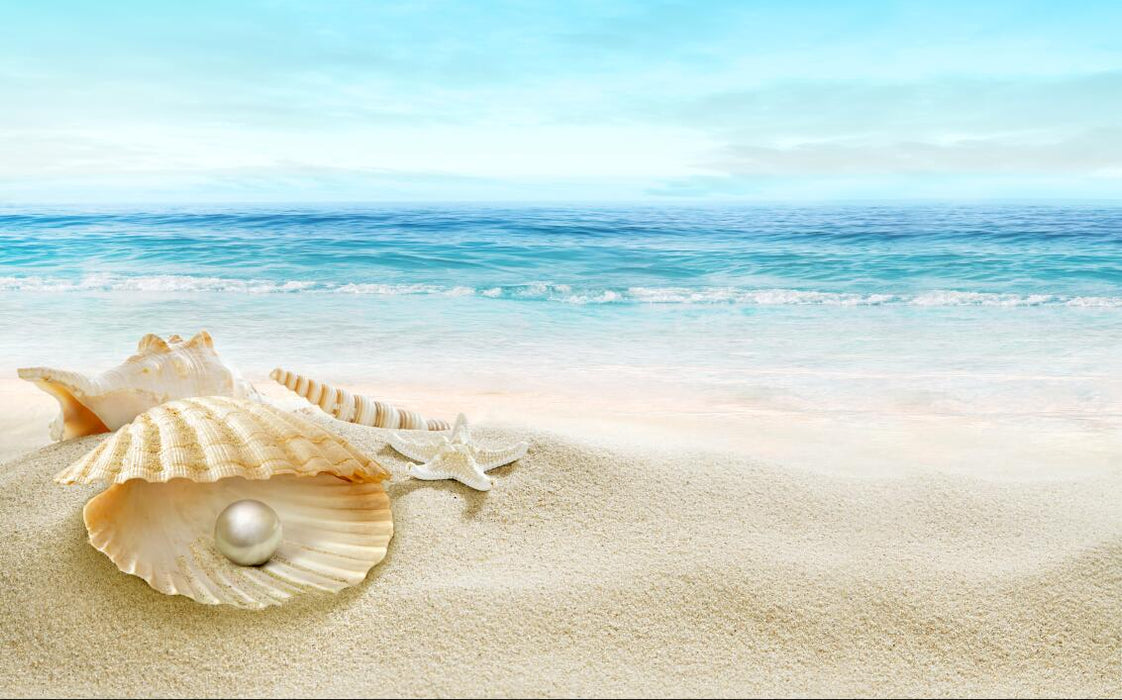 Beach Shell Pearl Wallpaper Mural | Ocean Style - Carving wallpaper
