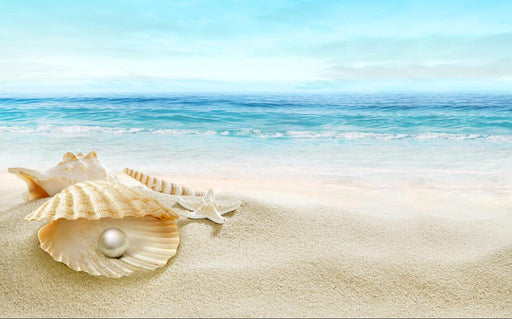 Beach Shell Pearl Wallpaper Mural | Ocean Style - Carving wallpaper