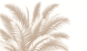 Beige Leaf Wallpaper Palm Leaf Bouquet - Carving wallpaper