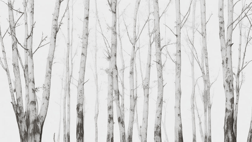 Birch wallpaper with clear toned forest - Carving wallpaper