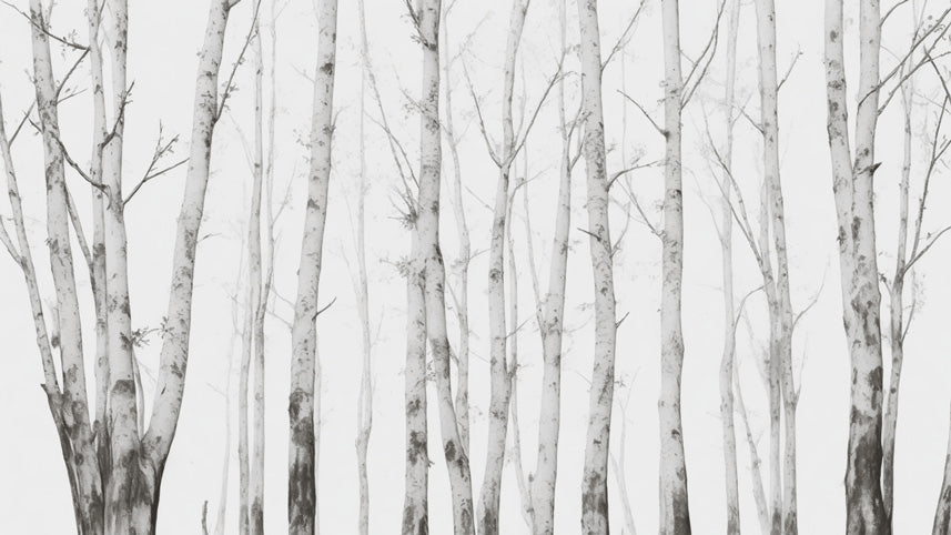 Birch wallpaper with clear toned forest - Carving wallpaper