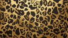 Black and gold wallpaper mural | Leopard pattern - Carving wallpaper