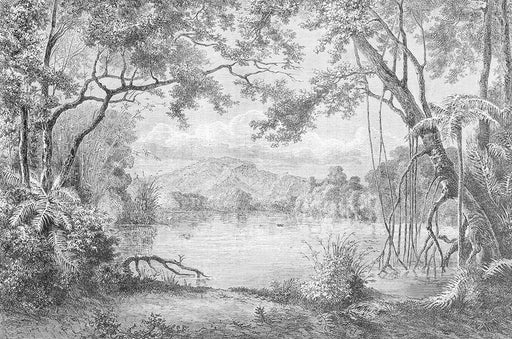 Black and white forest mural | Jungle wallpaper - Carving wallpaper