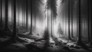 Black and white forest wallpaper mural | Trees stand tall - Carving wallpaper