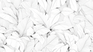 Black and white leaf wallpaper mural | Pencil drawing style - Carving wallpaper