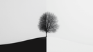 Black and white tree shadow wallpaper mural | A solitary tree stands in the world divided by black and white - Carving wallpaper