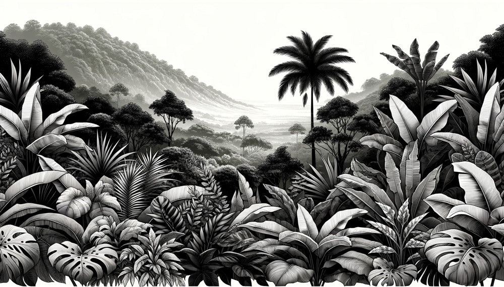 Black and white tropical plant wallpaper mural | Jungle scenery - Carving wallpaper
