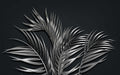 Black background silver palm wallpaper mural | Unique artistic atmosphere