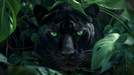 Black Panther Jungle Mural Wallpaper - Dark Botanical Wildlife Theme - Premium Peel & Stick Wall Décor