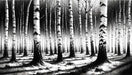 Black & White Birch Forest Wallpaper Mural | Artistic Monochrome Decor for Study & Living Room
