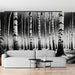 Black & White Birch Forest Wallpaper Mural | Artistic Monochrome Decor for Study & Living Room