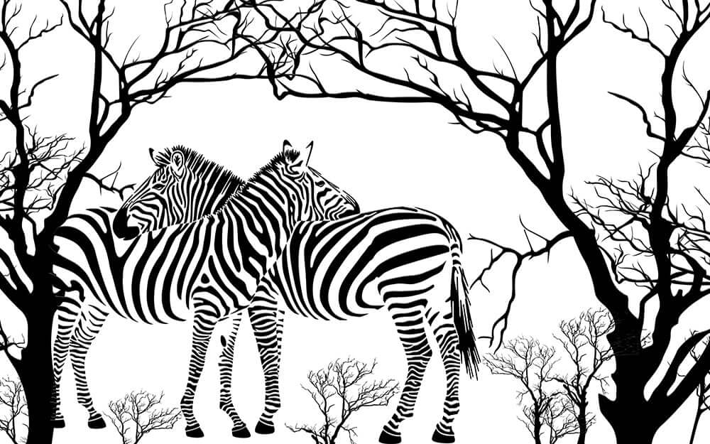 Black and white zebra art wallpaper mural | Grassland element wallpaper