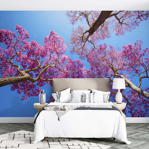 Blue Jacaranda Sky Wallpaper | Blue Jacaranda Sky Mural - romantic pink purple jacaranda blossoms against clear blue sky in a serene bedroom wall mural