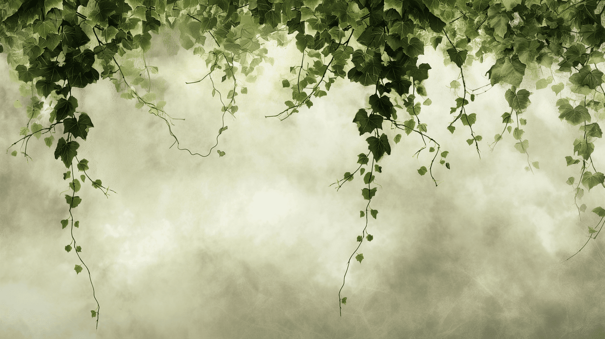 Cascading Ivy Vine Wallpaper | Trailing Botanical Mural for Bedroom & Living Room