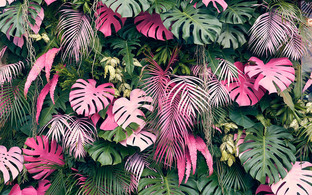Colorful tropical plant wallpaper for living room featuring vibrant pink and green foliage.