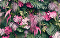 Colorful tropical plant wallpaper for living room featuring vibrant pink and green foliage.